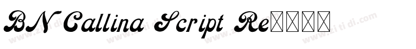 BN Callina Script Re字体转换